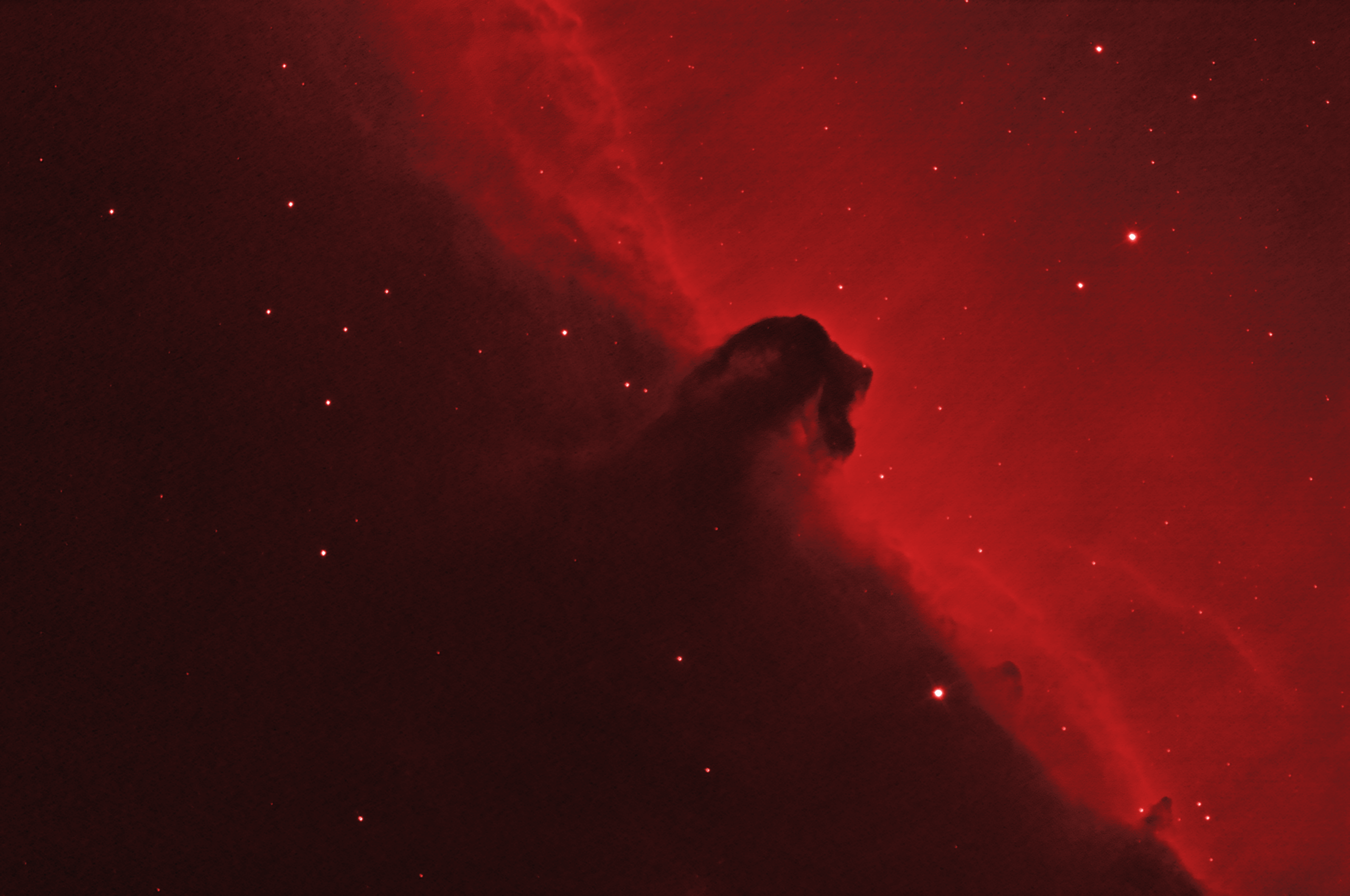 Horsehead Nebula