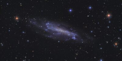 Caldwell 3