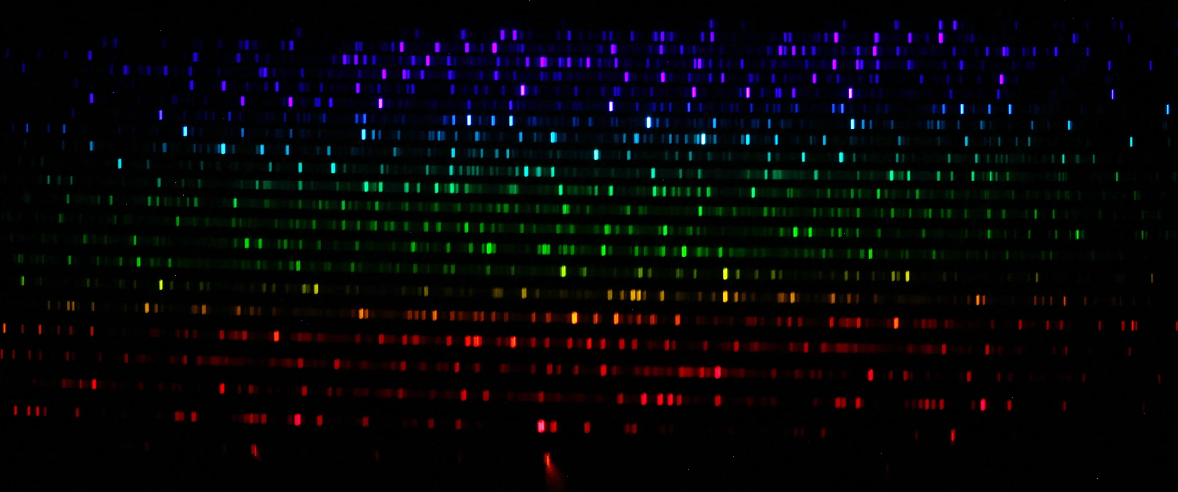 Spectrum of Calibration lamp of the BACHES spectrograph