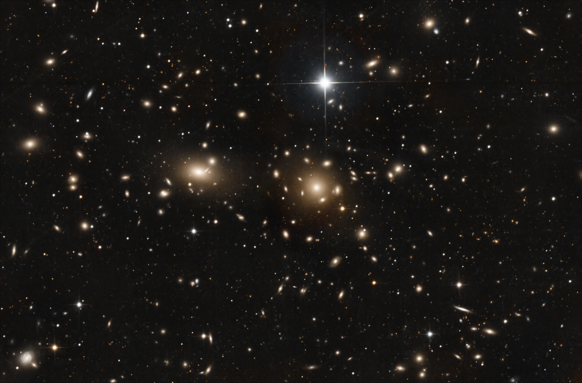 Coma Cluster