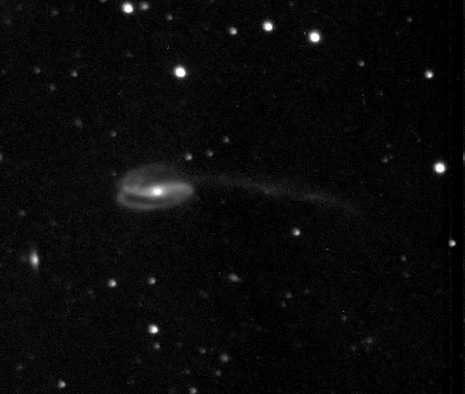 Tadpole Galaxy