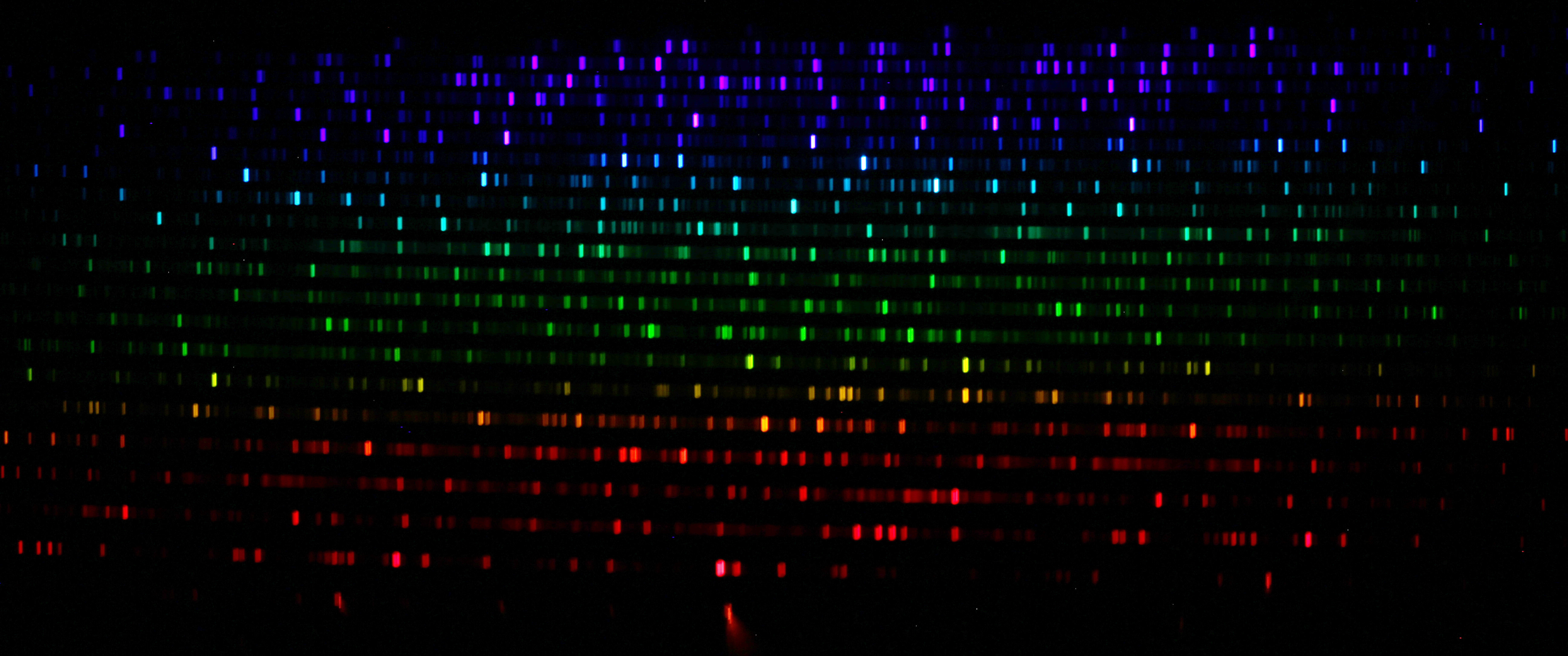 Spectrum of Calibration lamp of the BACHES spectrograph