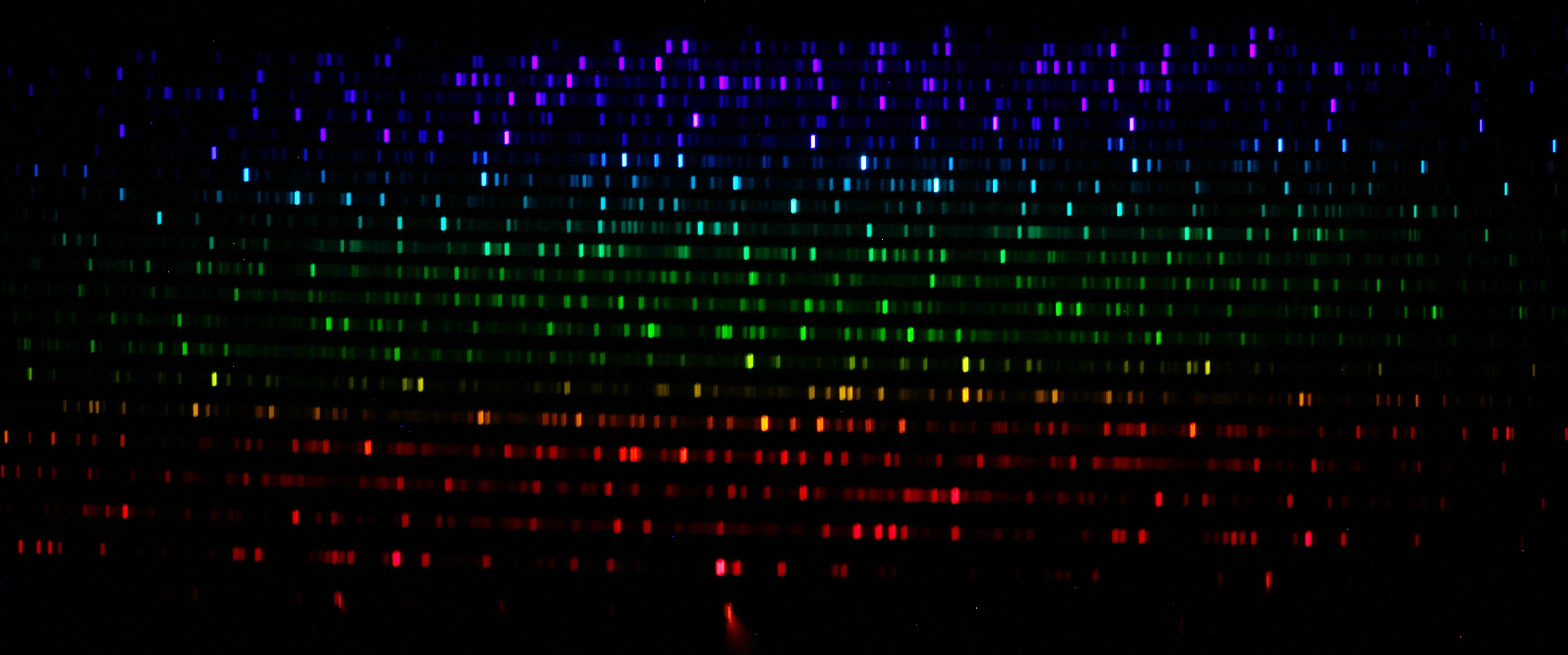 Spectrum of Calibration lamp of the BACHES spectrograph