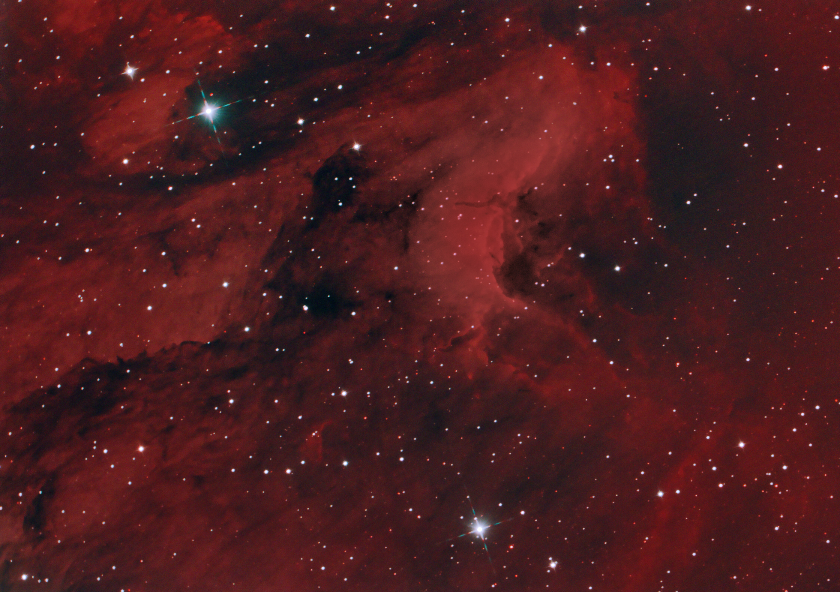 The Pelican Nebula