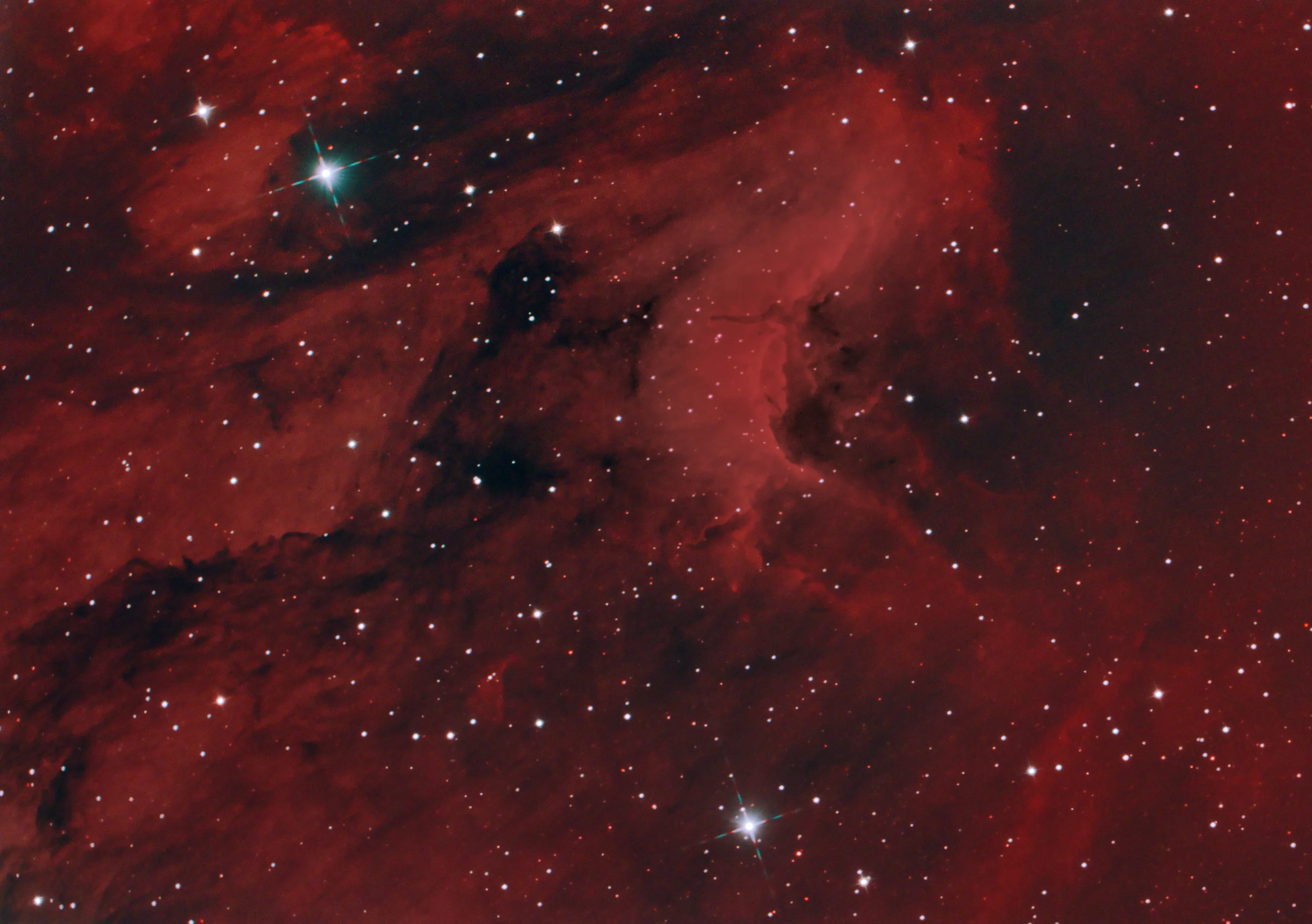 The Pelican Nebula