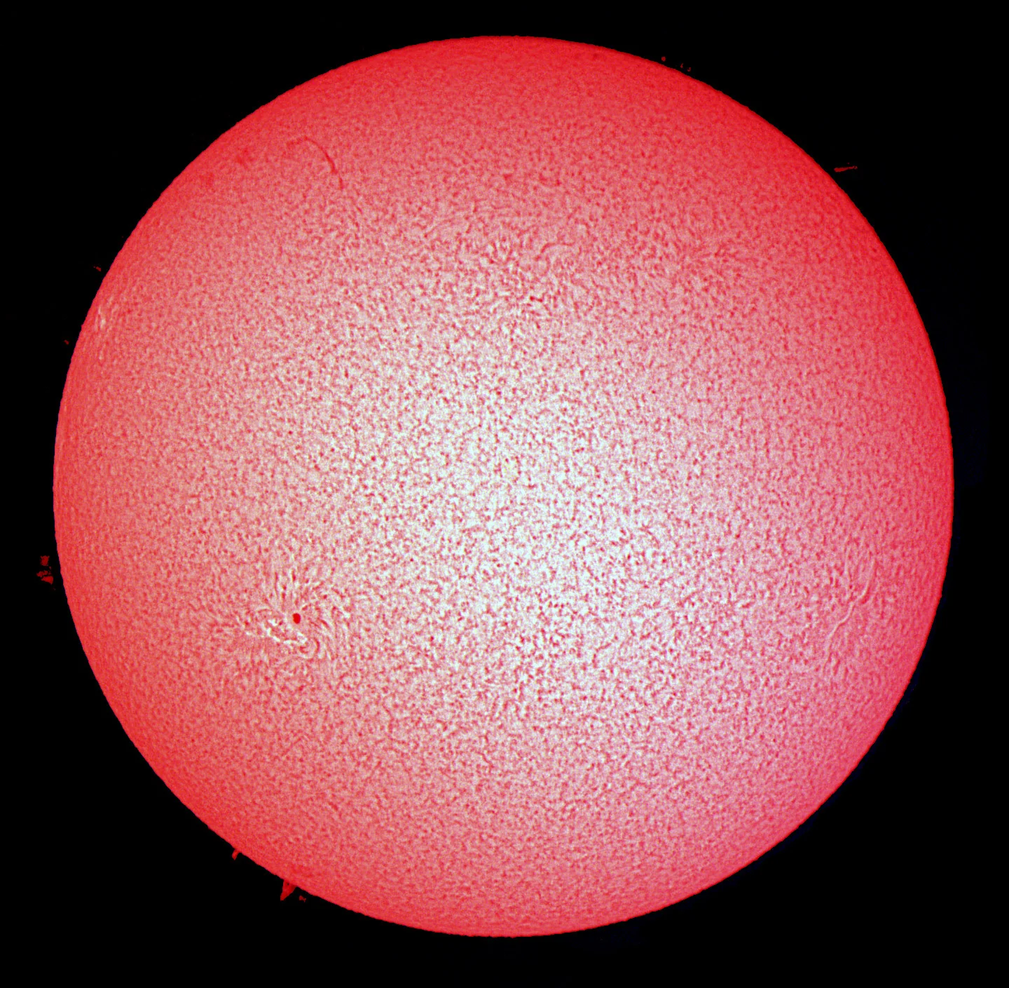The Sun in Halpha