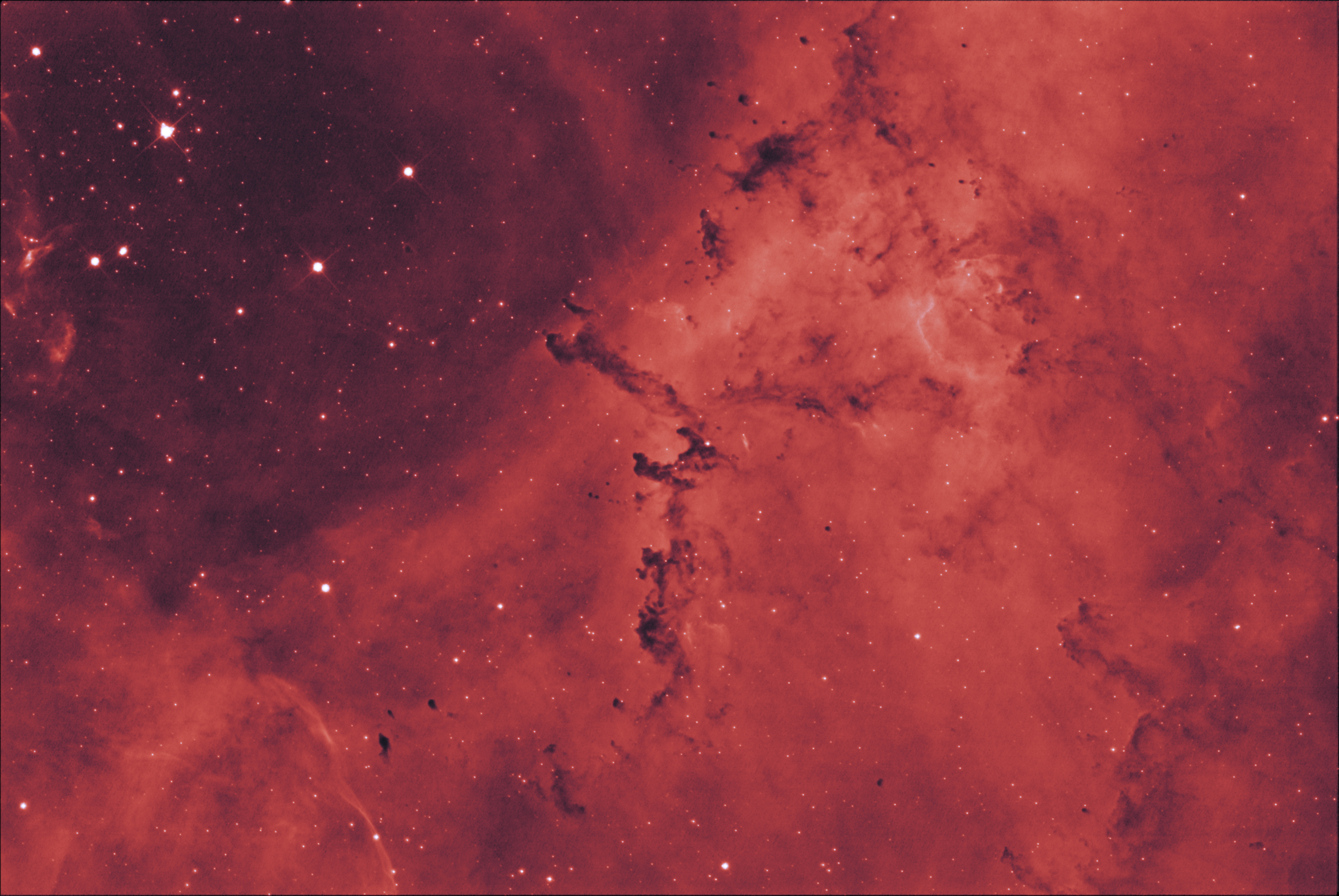 The Rosette Nebula