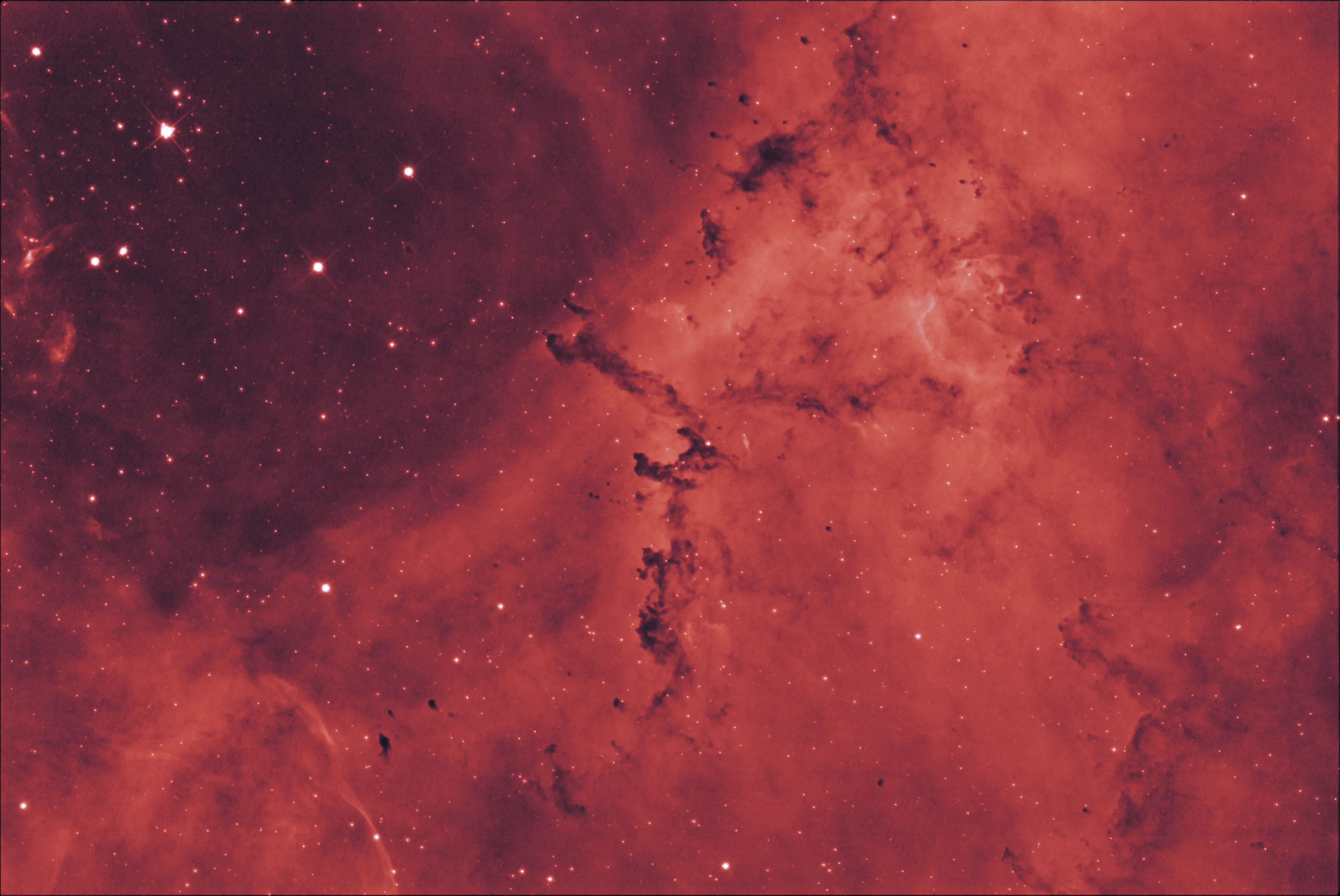The Rosette Nebula