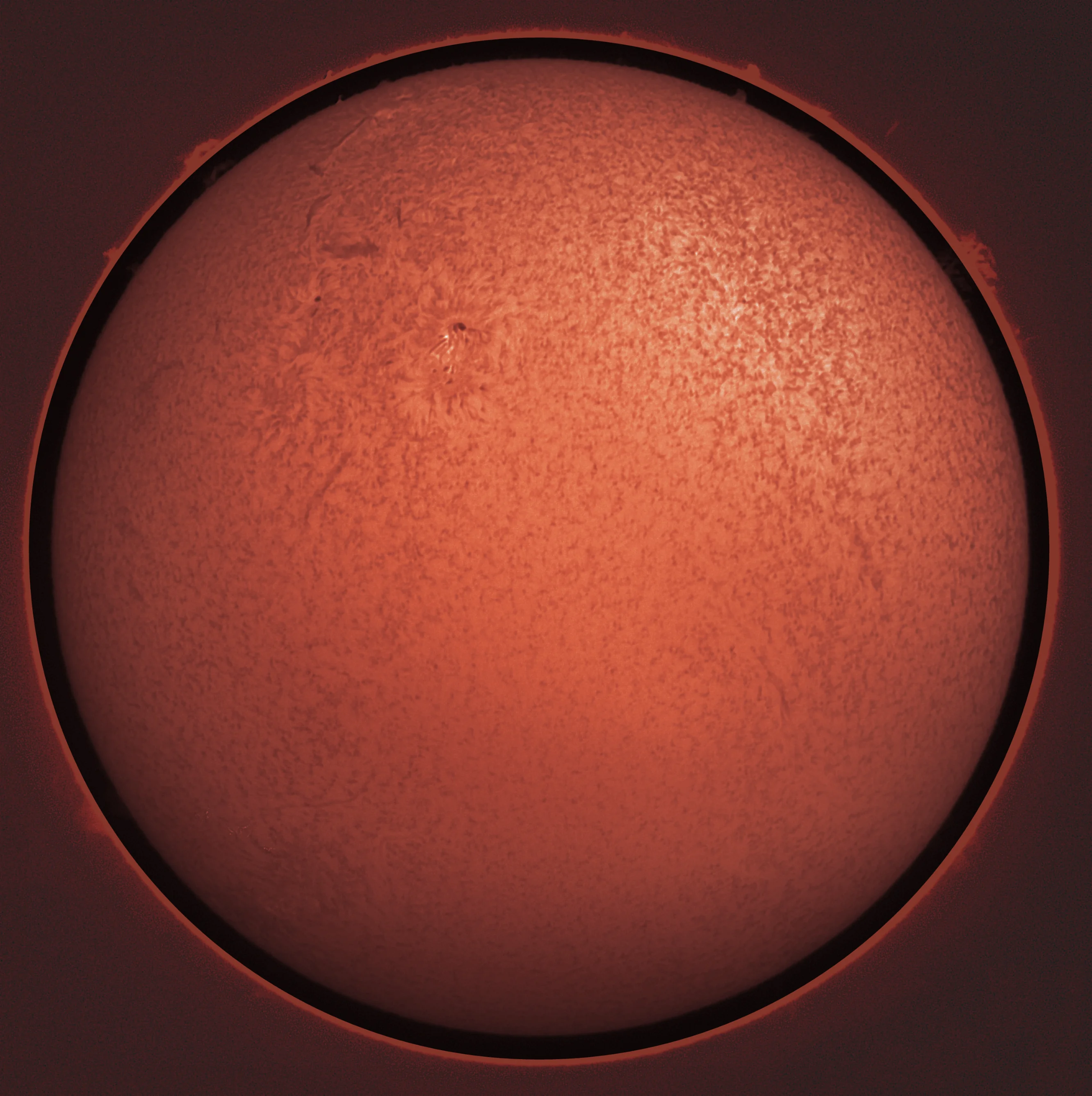 The Sun in Halpha