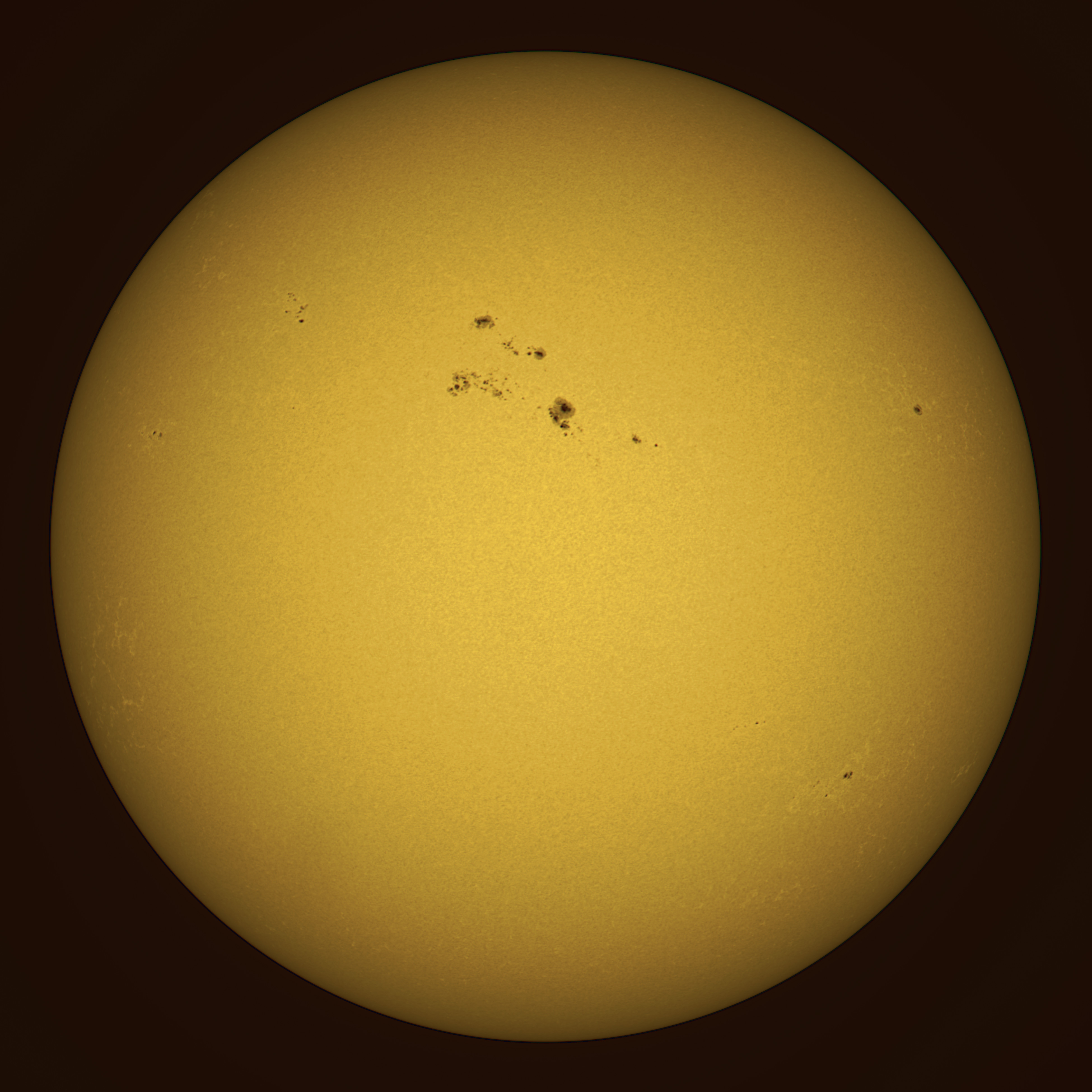 The Sun in White Light
