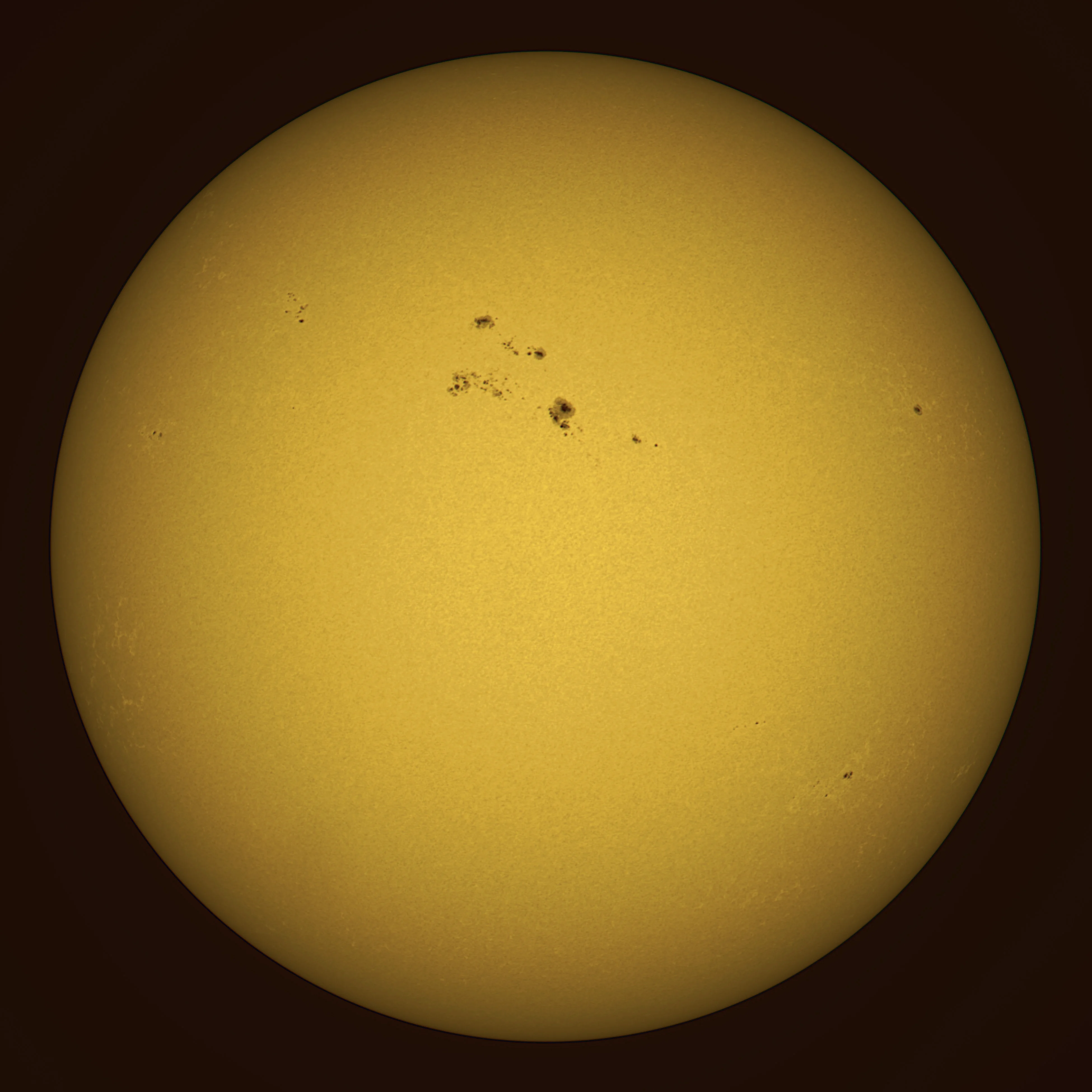 The Sun in White Light
