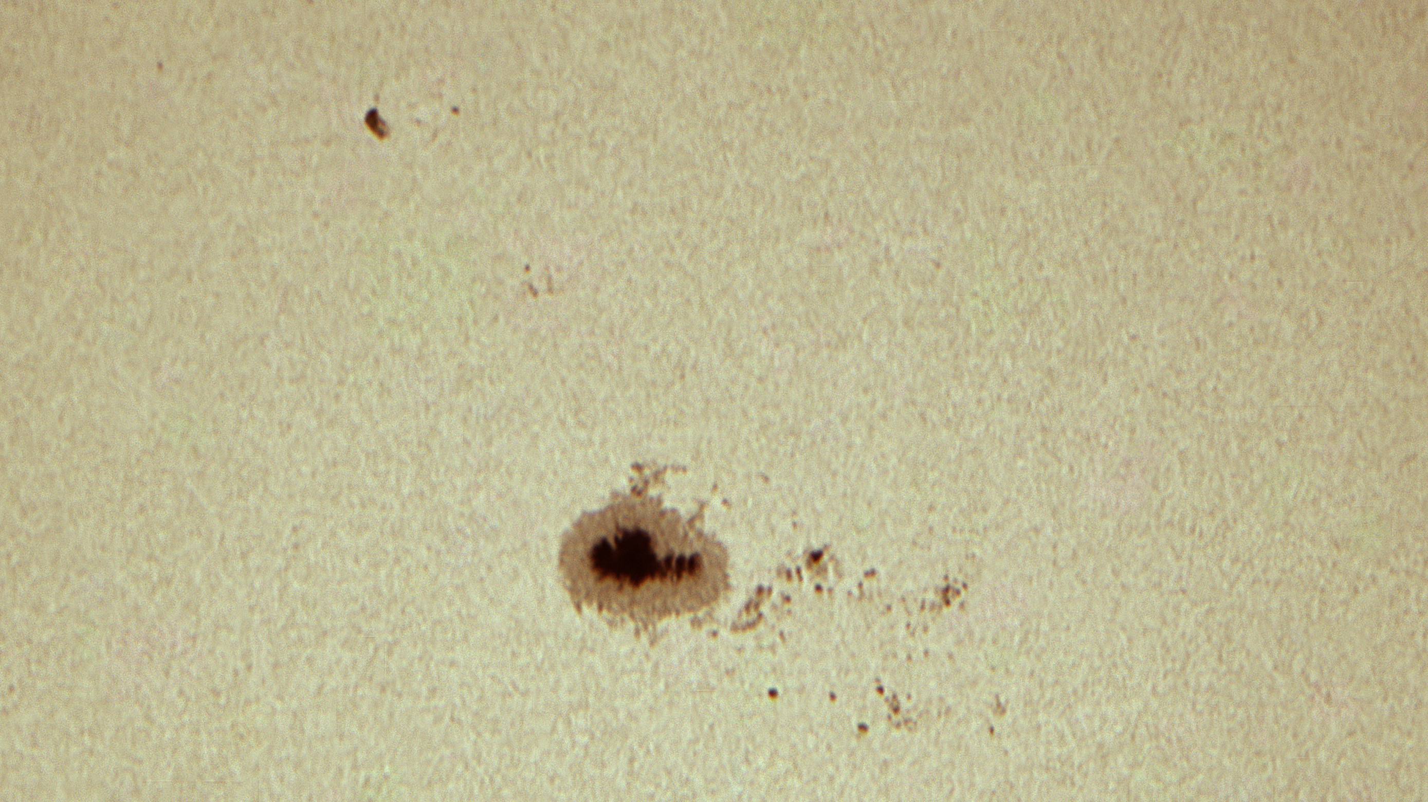 Sunspot AR3217
