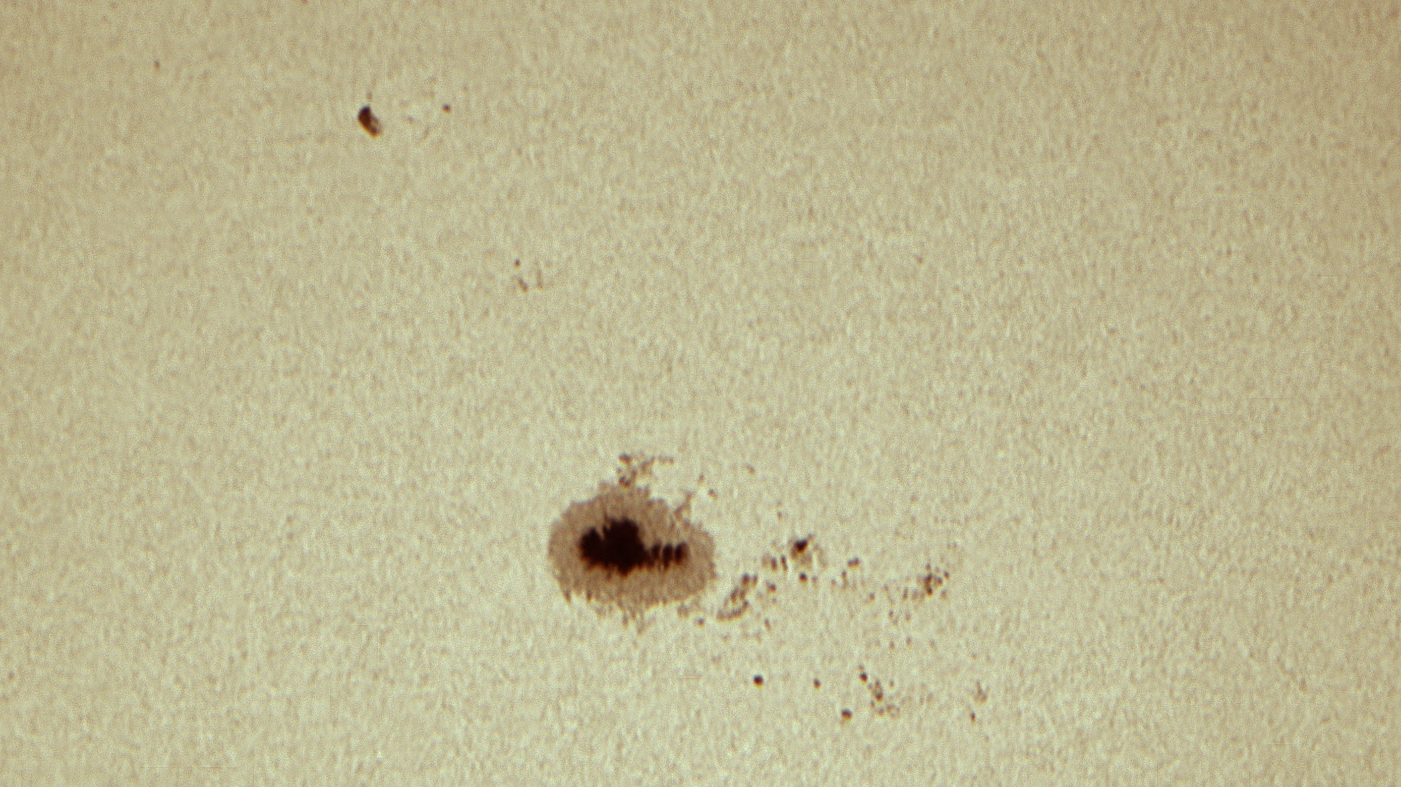 Sunspot AR3217