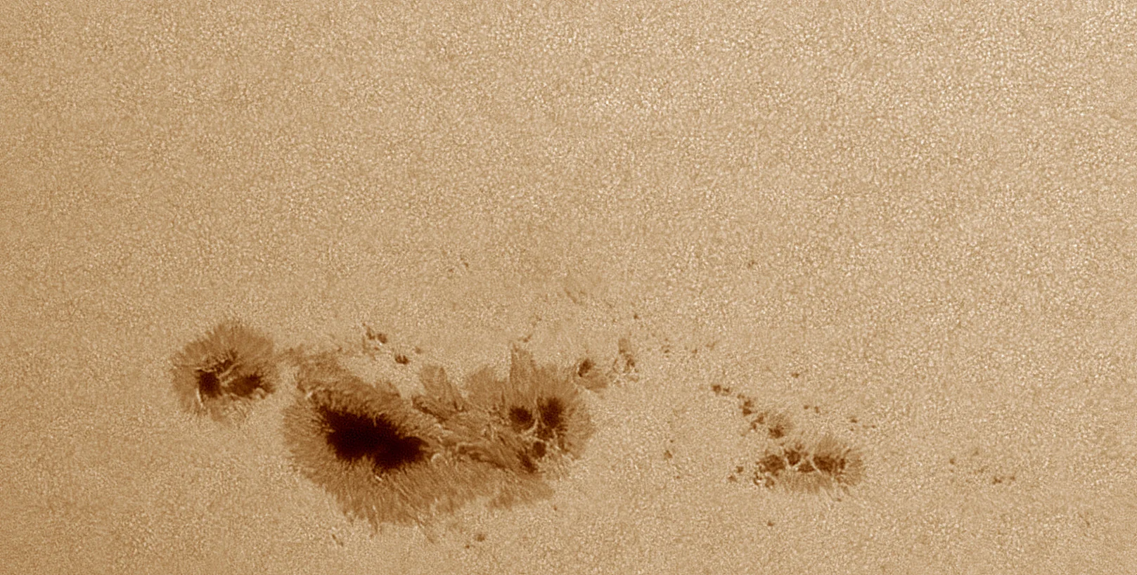 Sunspot 3590