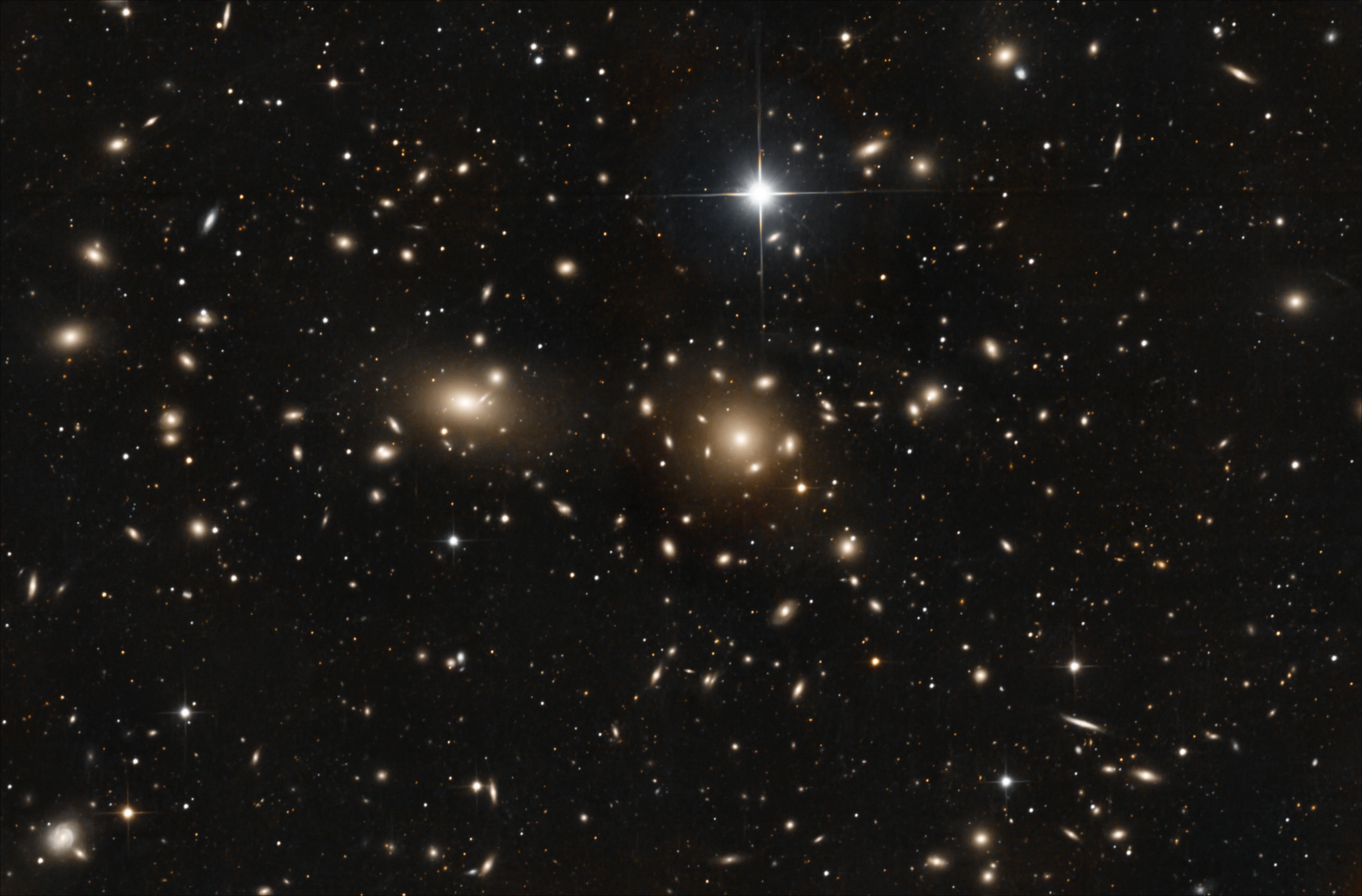 Coma Cluster