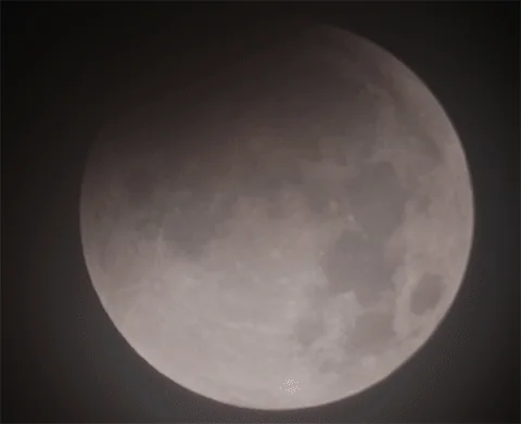 Mond