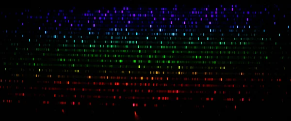Spectrum of Calibration lamp of the BACHES spectrograph