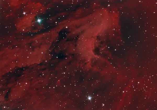 The Pelican Nebula