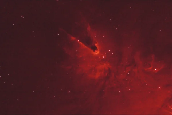 Cone Nebula