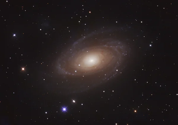 Bode's Galaxy