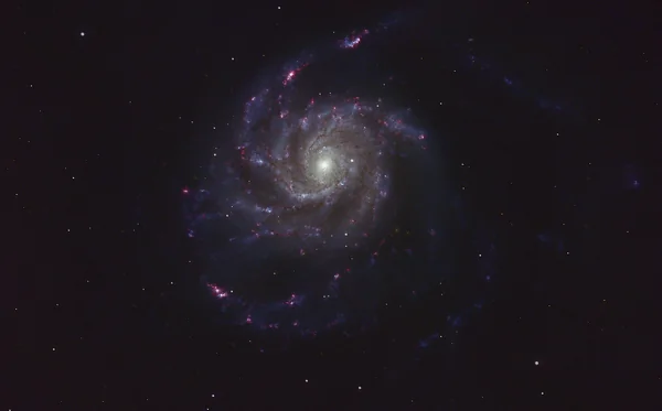 The Pinwheel Galaxy