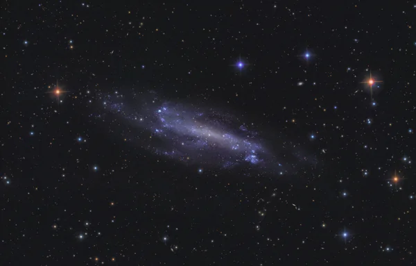 Caldwell 3