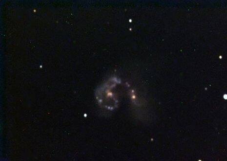 NGC 4038 - Antennen-Galaxien