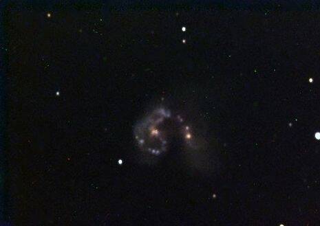 NGC 4038 - Antennen-Galaxien NGC 4038 - Antennen-Galaxien