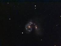 NGC 4038 - Antennen-Galaxien